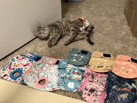 HUXLEY - Photo 5