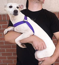 Jazzy - Photo 3