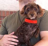 Gertie - Photo 3
