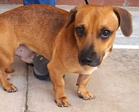 Waylon - Photo 3