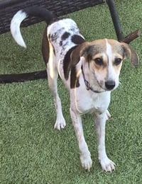 Manchitas - Photo 1