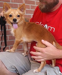 Woody - Photo 3