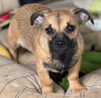 Freddie - Photo 3