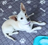 Lucky Zero - Photo 4