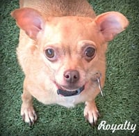 Royalty - Photo 1