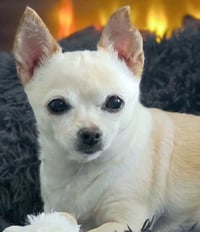 Milly - Photo 2