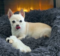 Milly - Photo 5