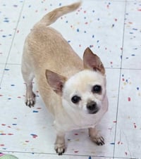 Milly - Photo 6