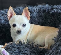Milly - Photo 7