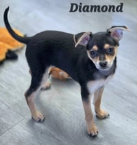 Diamond - Photo 2