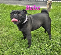 Bebe - Photo 1