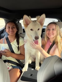 Sadie - Photo 3