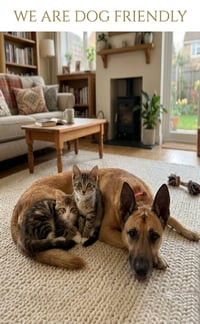 TIGER - BONDED WITH HANA - Photo 4