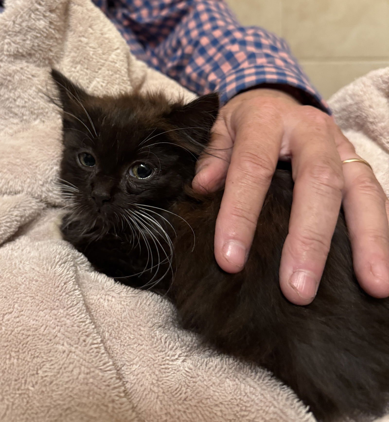 ALBIE - Bonded with Spencer - Photo 7