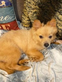 Tucker - Photo 3