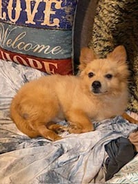 Tucker - Photo 4