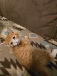 Jacey - Photo 1