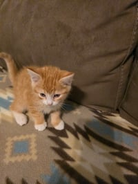 Jacey - Photo 3