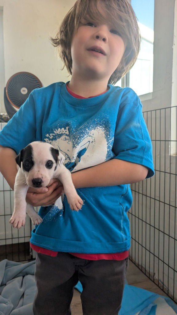 Squilliam Fancison - Photo 3