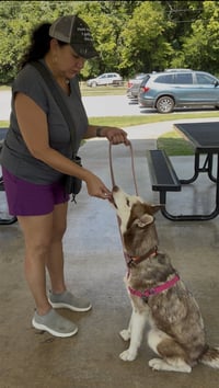 Cheyenne - Photo 2