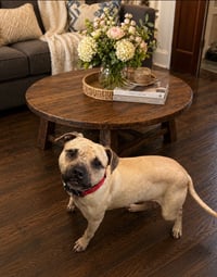 Chance - Photo 4