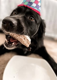 Courtesy: Mauer - Photo 3