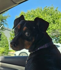 Jax - Photo 1