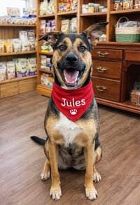 Jules - Photo 4