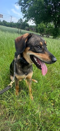 Tracker - Photo 2