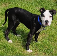 Zak Flash - Photo 2