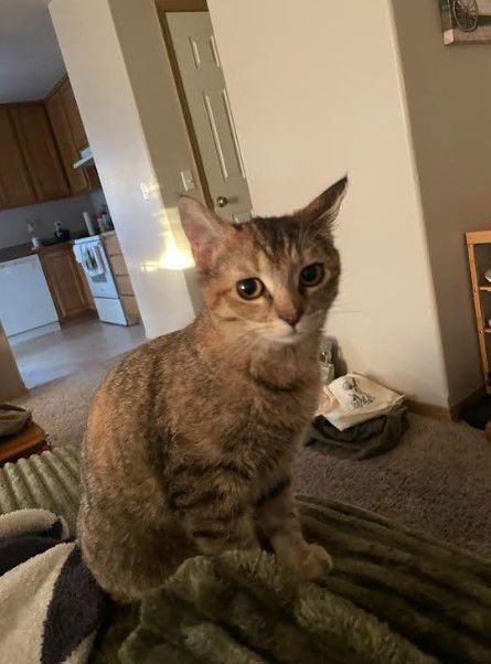 Princess & Duchess - Photo 4