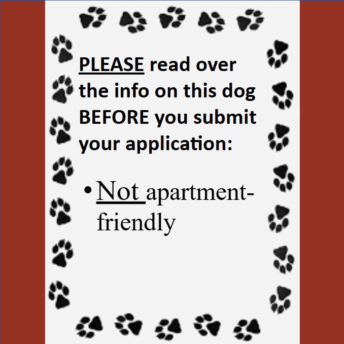 Sugar Poppy - Photo 4