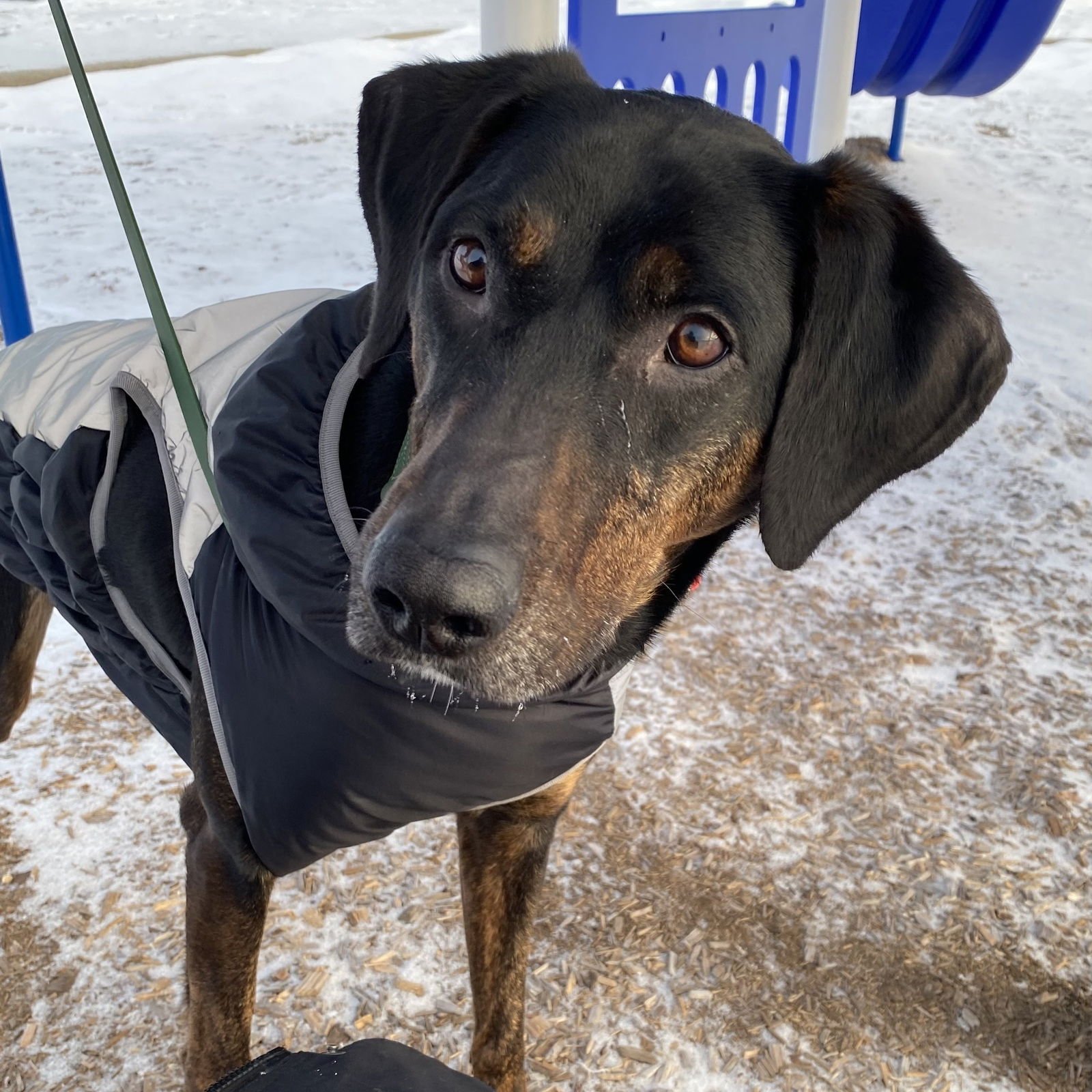 Anthony Edwards - Photo 3