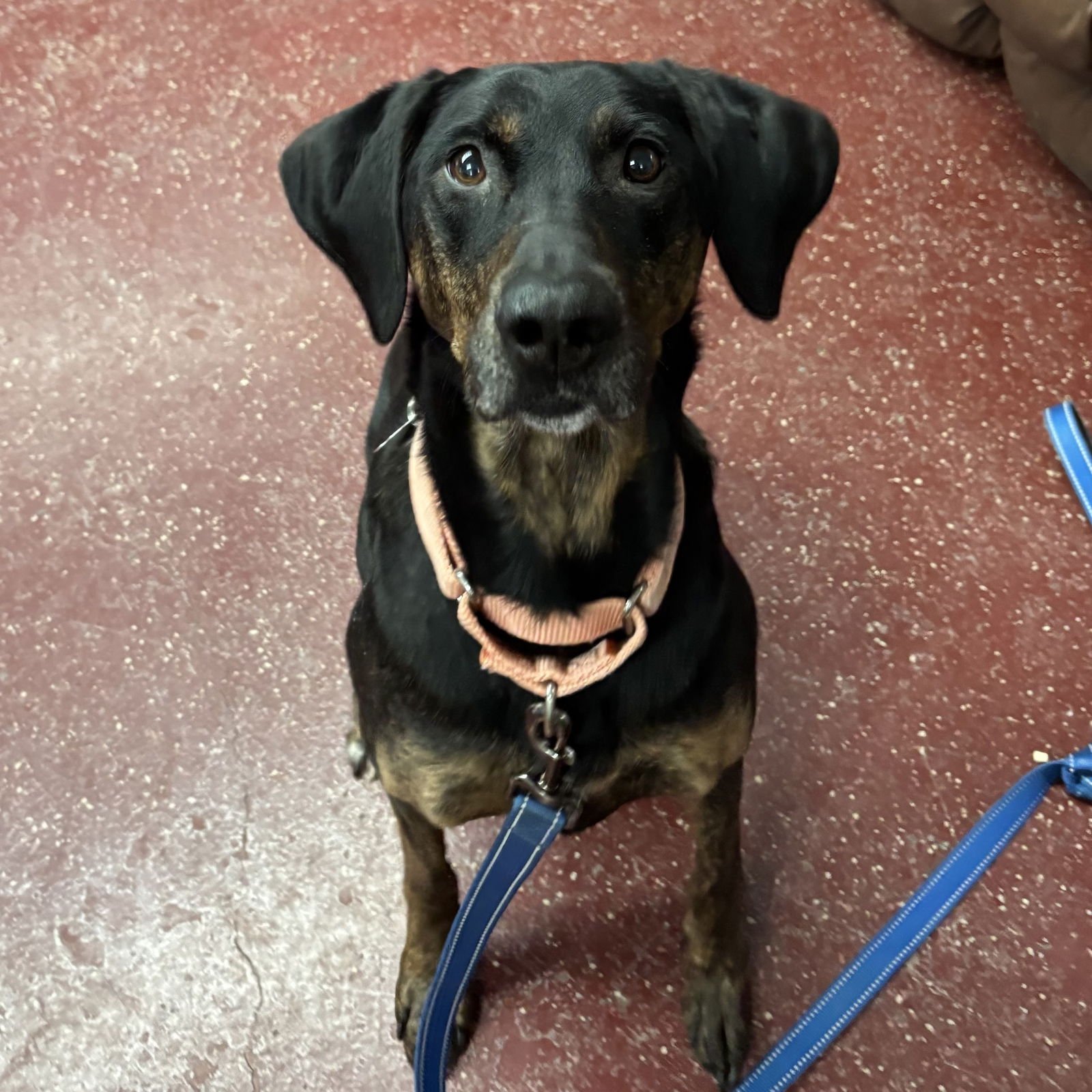 Anthony Edwards - Photo 4