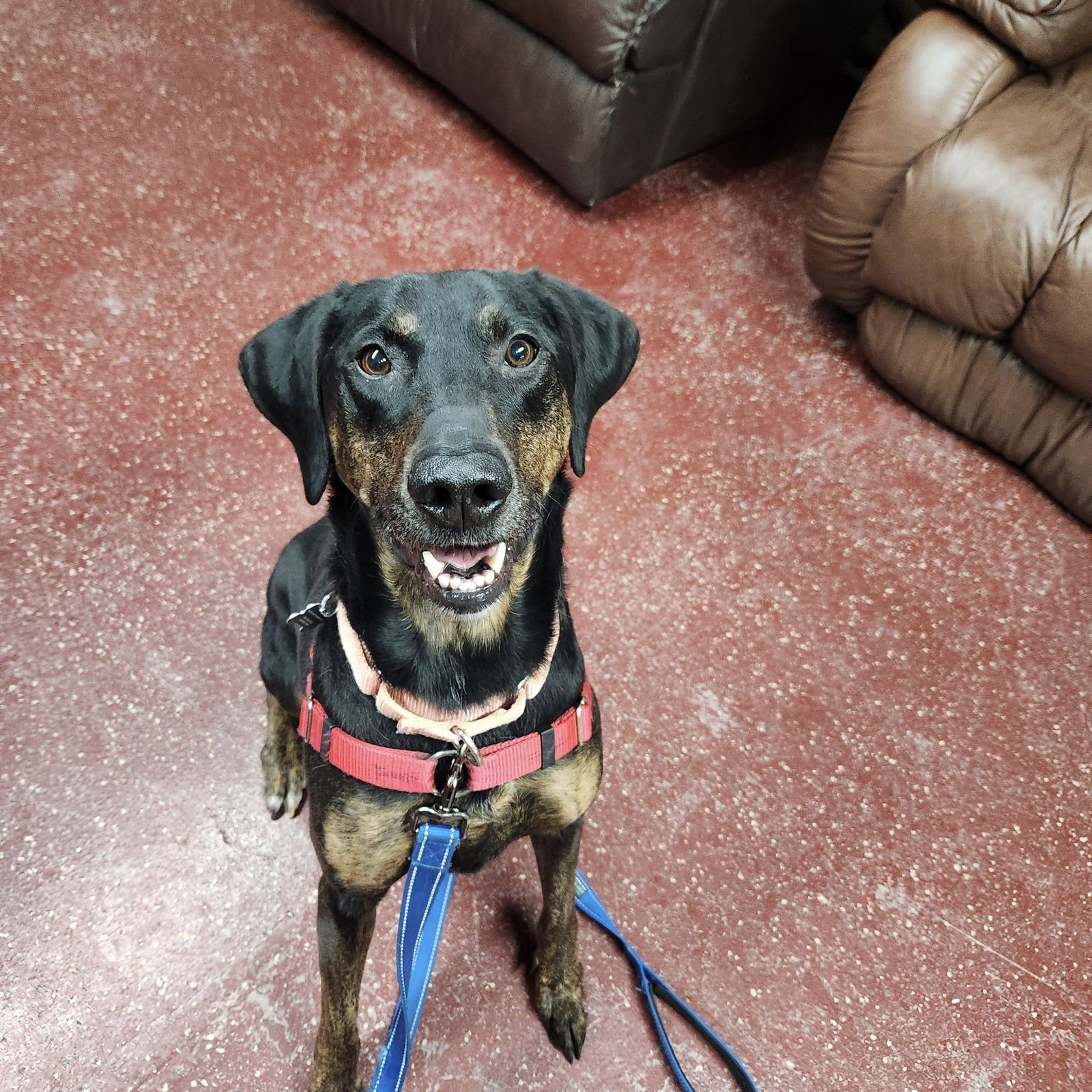 Anthony Edwards - Photo 8