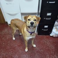Ernie - Photo 10