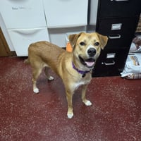 Ernie - Photo 12