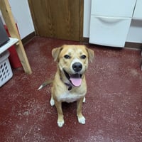 Ernie - Photo 11