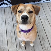 Ernie - Photo 6