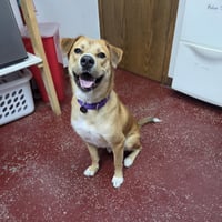 Ernie - Photo 9