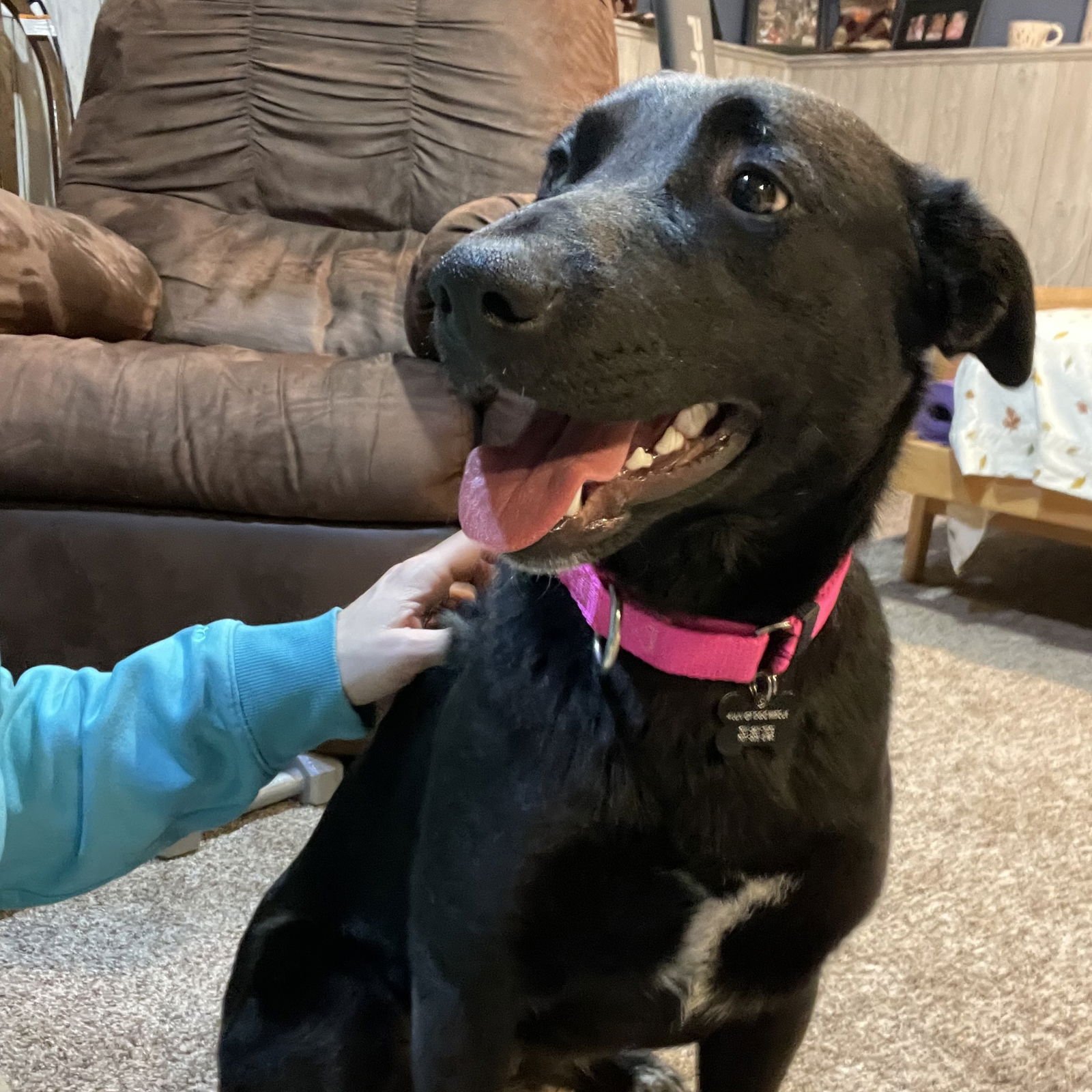 Luna Flurry Fur - Photo 12