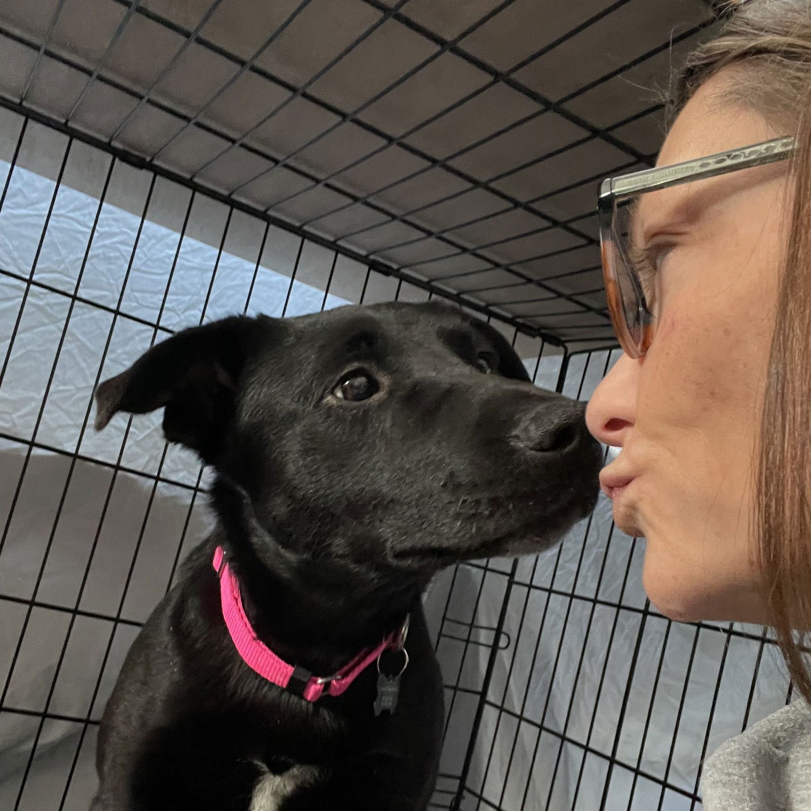 Luna Flurry Fur - Photo 13