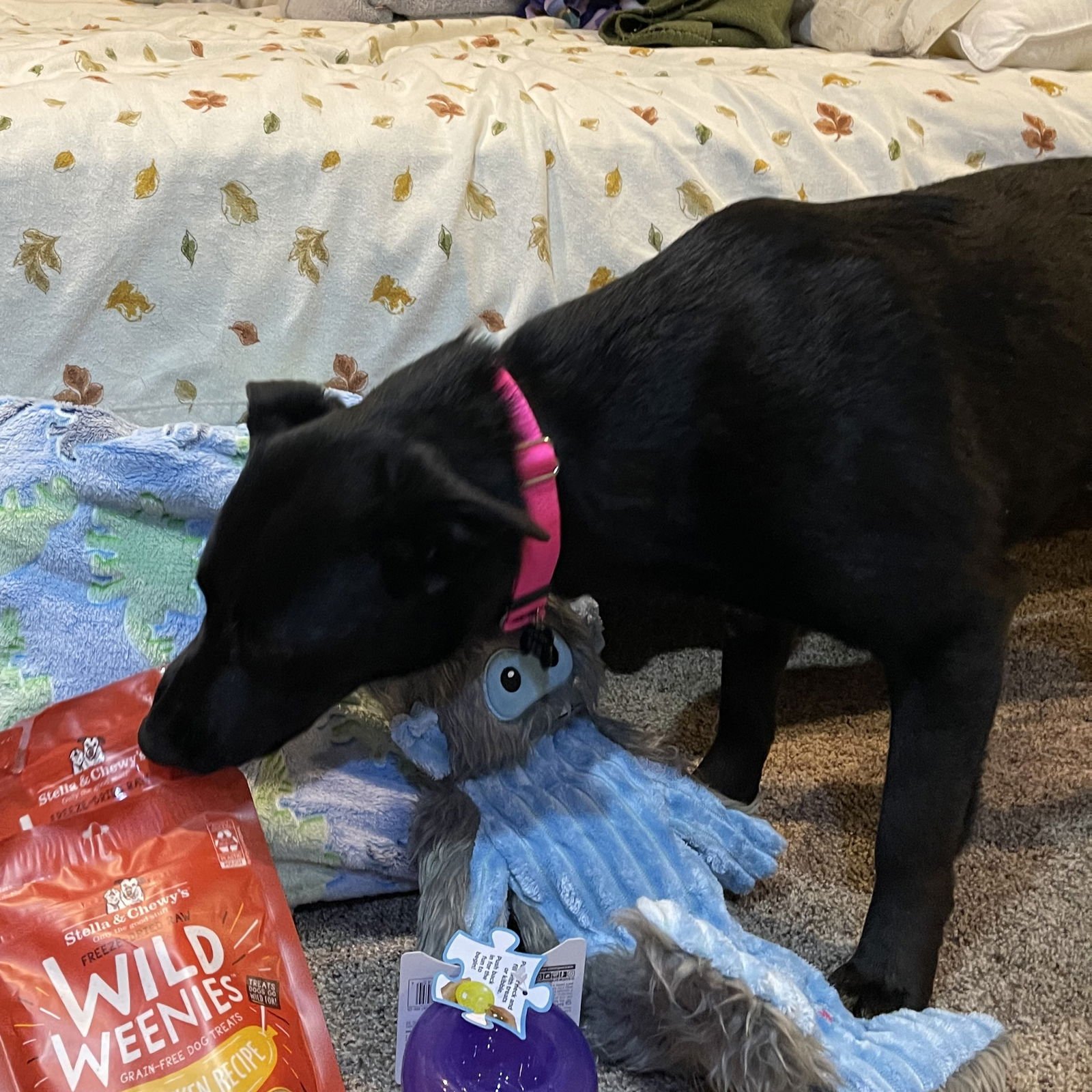 Luna Flurry Fur - Photo 16