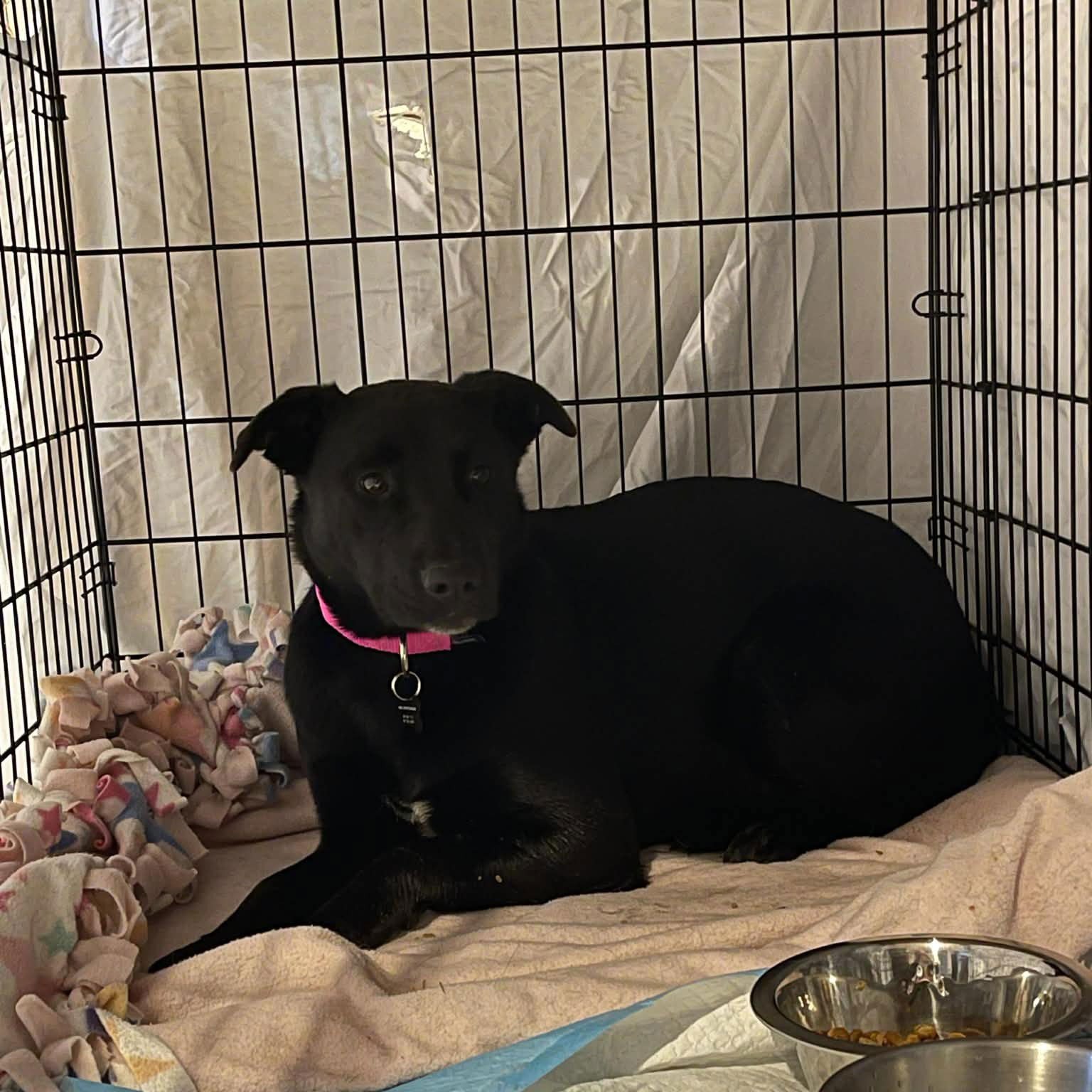 Luna Flurry Fur - Photo 17