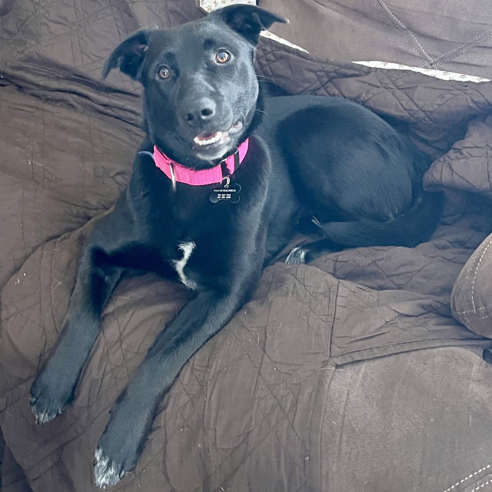 Luna Flurry Fur - Photo 5