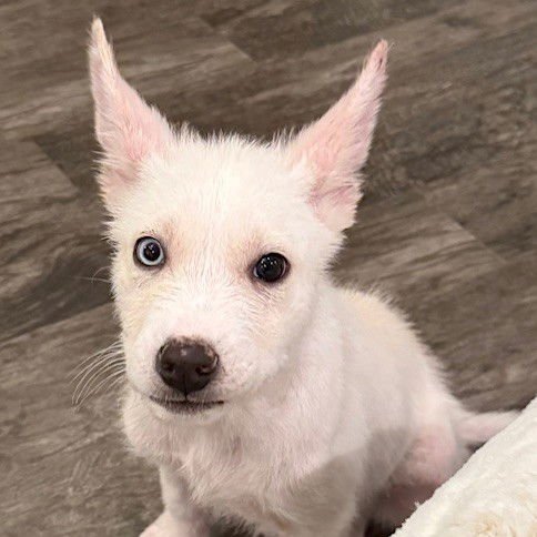 Alex P Keaton - Photo 3