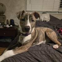 Kaiyah - Photo 1