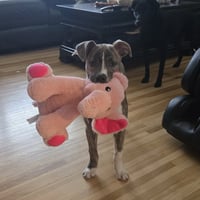 Kaiyah - Photo 2