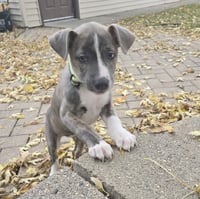 Kaiyah - Photo 13
