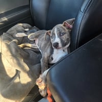 Kaiyah - Photo 15